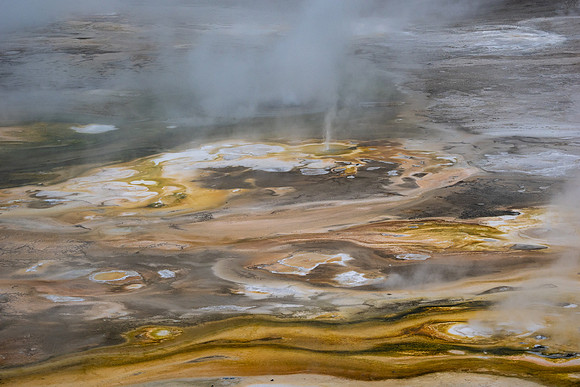 Yellowstone National Park 2025
