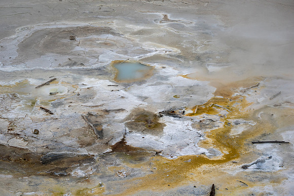 Yellowstone National Park 2025