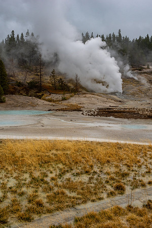 Yellowstone National Park 2025