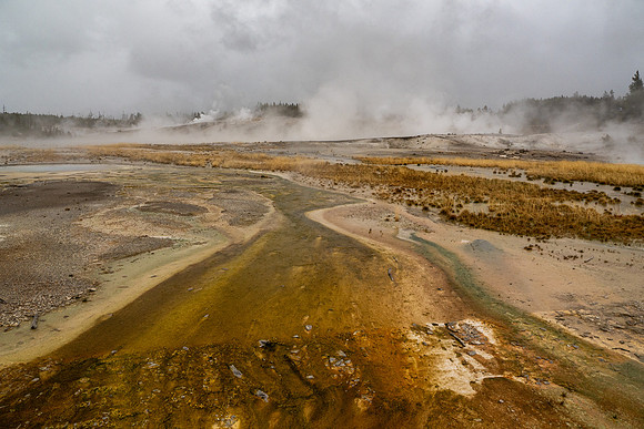 Yellowstone National Park 2025