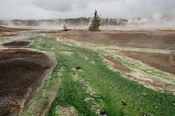 Yellowstone National Park 2025