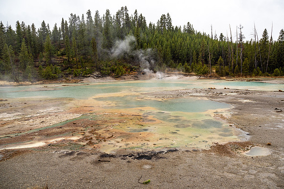 Yellowstone National Park 2025
