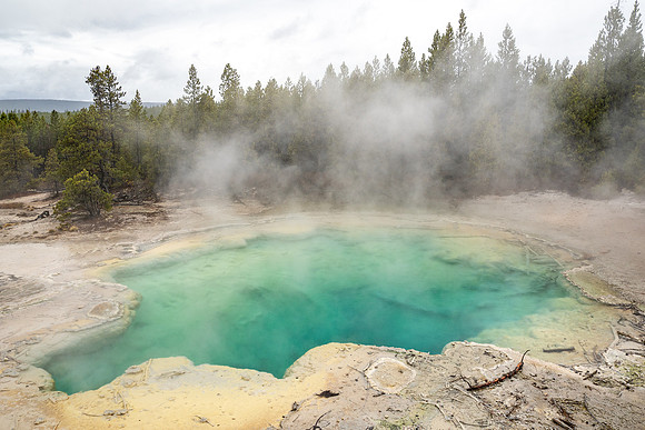 Yellowstone National Park 2025