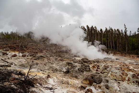 Yellowstone National Park 2025