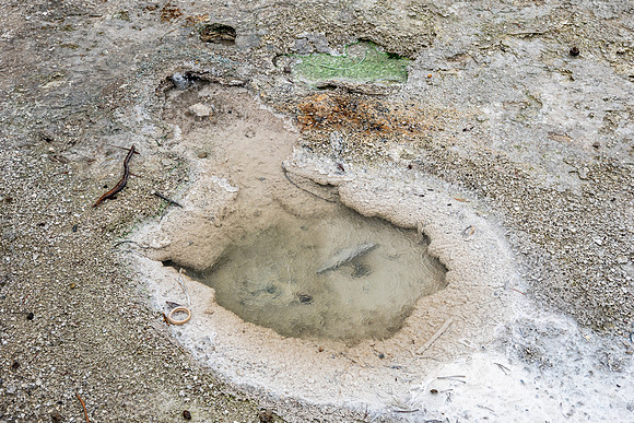 Yellowstone National Park 2025