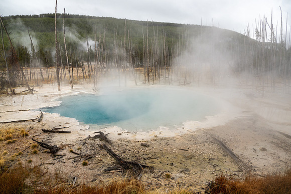 Yellowstone National Park 2025