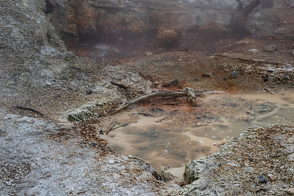 Yellowstone National Park 2025