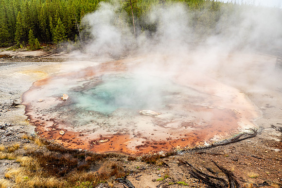 Yellowstone National Park 2025