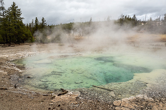 Yellowstone National Park 2025