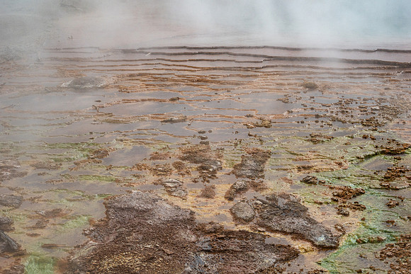 Yellowstone National Park 2025