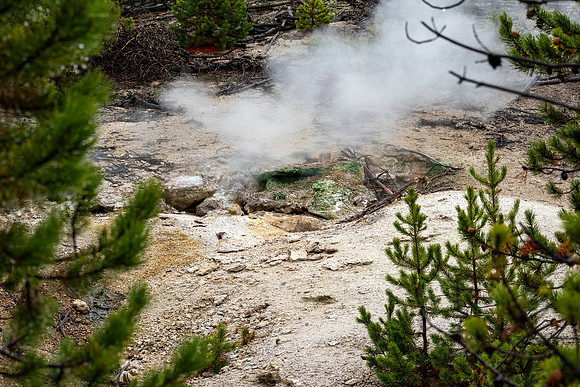 Yellowstone National Park 2025