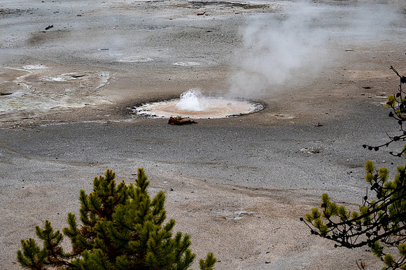 Yellowstone National Park 2025