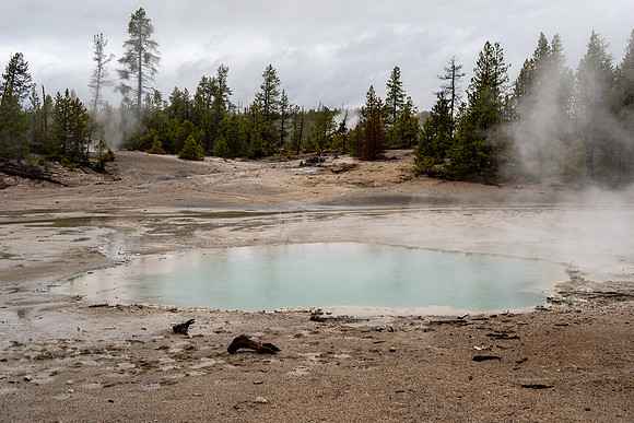 Yellowstone National Park 2025