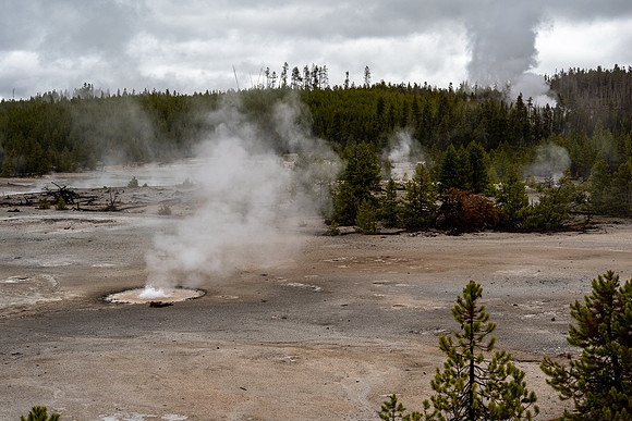 Yellowstone National Park 2025