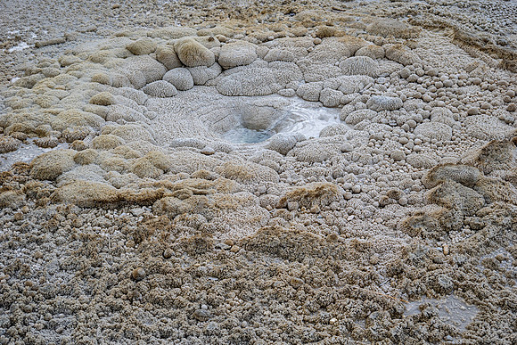 Yellowstone National Park 2025