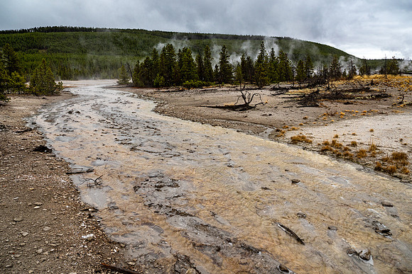 Yellowstone National Park 2025