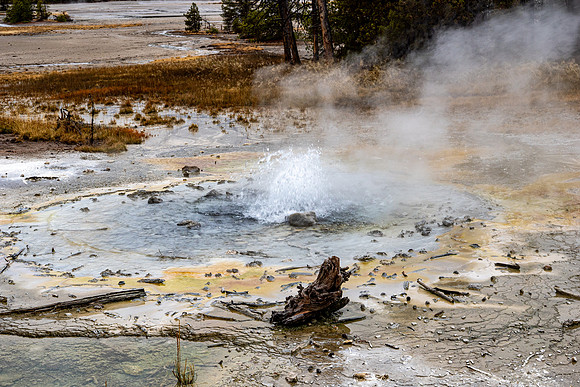 Yellowstone National Park 2025
