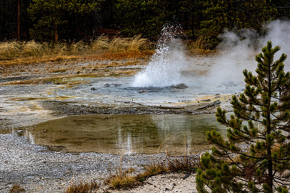 Yellowstone National Park 2025