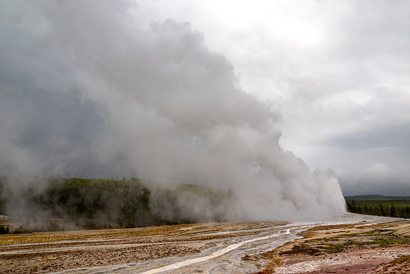 Yellowstone National Park 2025