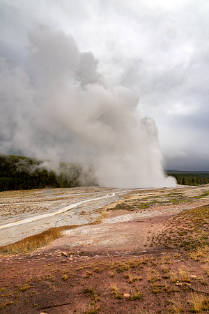 Yellowstone National Park 2025