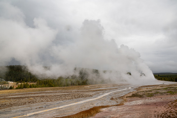 Yellowstone National Park 2025