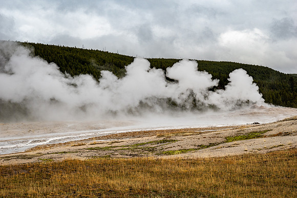 Yellowstone National Park 2025