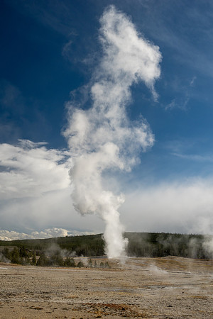 Yellowstone National Park 2025
