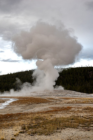 Yellowstone National Park 2025