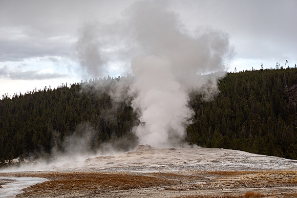 Yellowstone National Park 2025