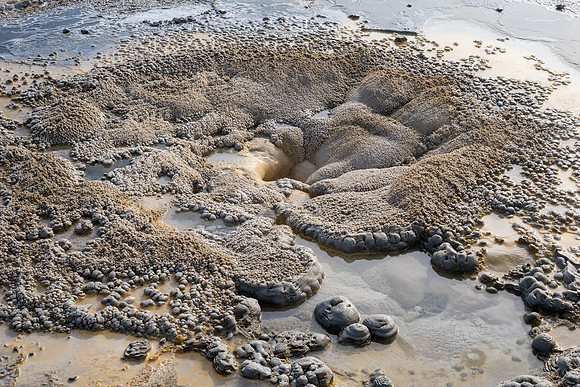 Yellowstone National Park 2025