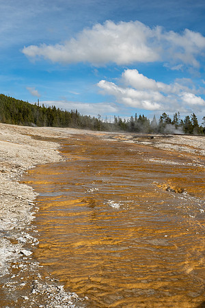 Yellowstone National Park 2025