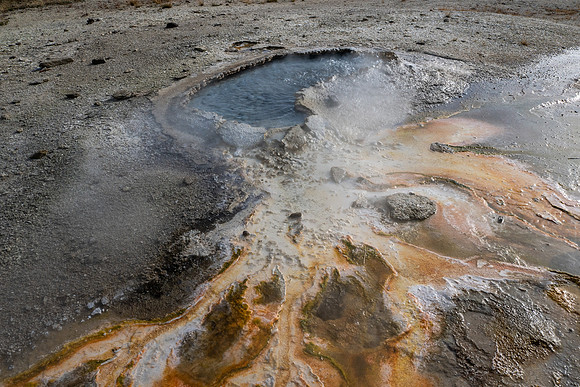 Yellowstone National Park 2025