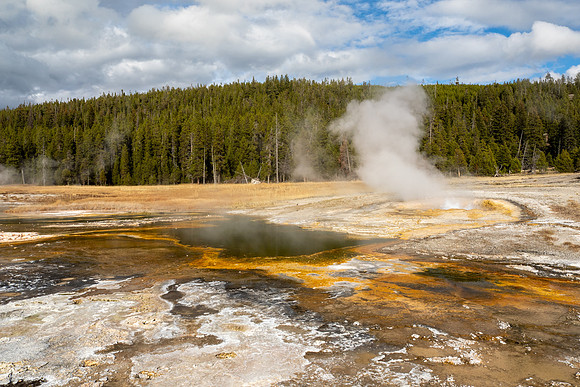 Yellowstone National Park 2025