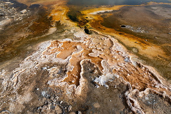 Yellowstone National Park 2025