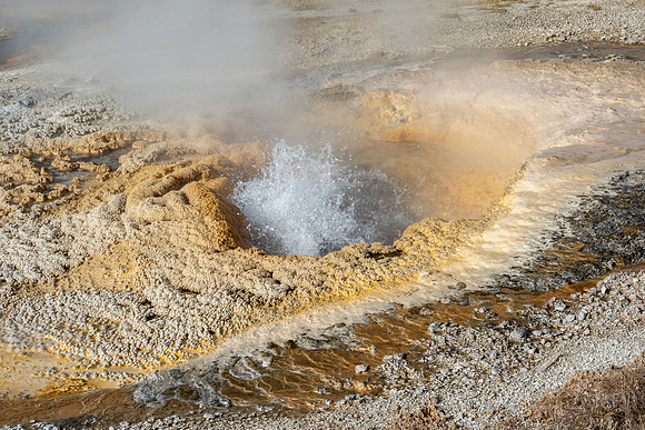 Yellowstone National Park 2025