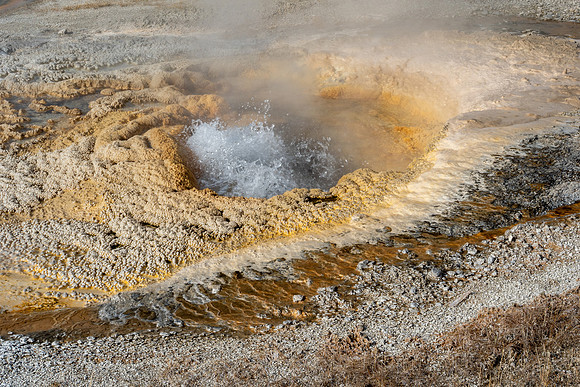 Yellowstone National Park 2025