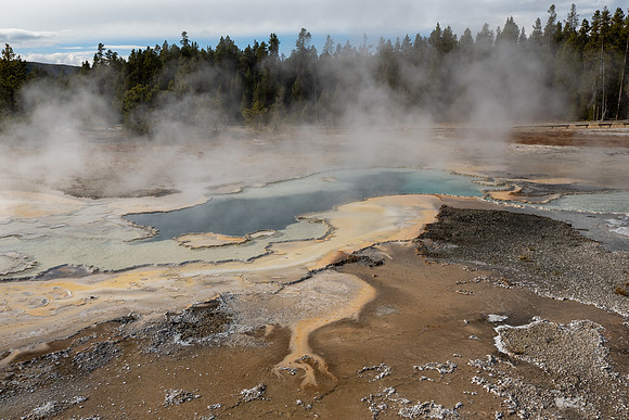 Yellowstone National Park 2025