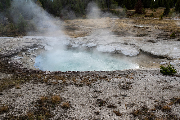 Yellowstone National Park 2025