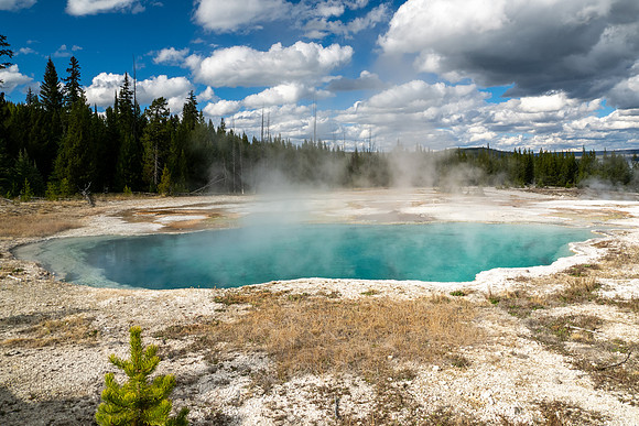 Yellowstone National Park 2025