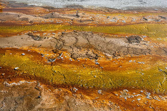 Yellowstone National Park 2025