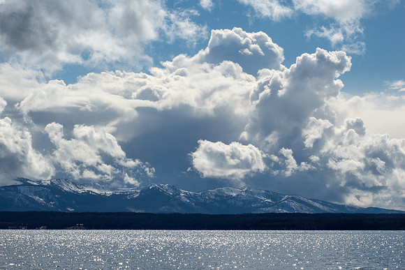 Yellowstone National Park 2025