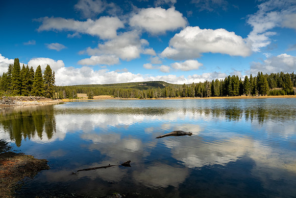 Yellowstone National Park 2025
