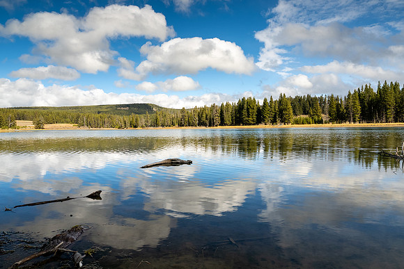 Yellowstone National Park 2025