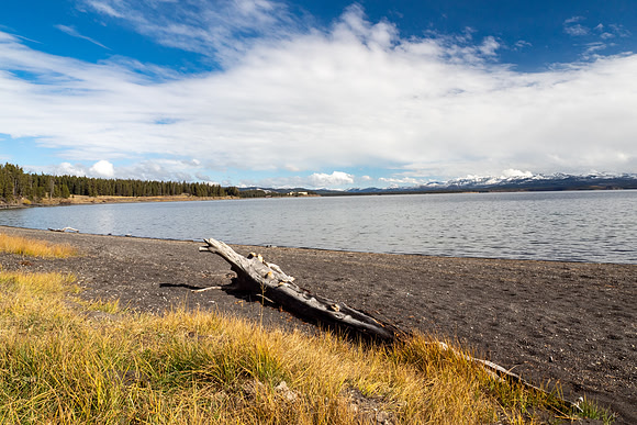 Yellowstone National Park 2025