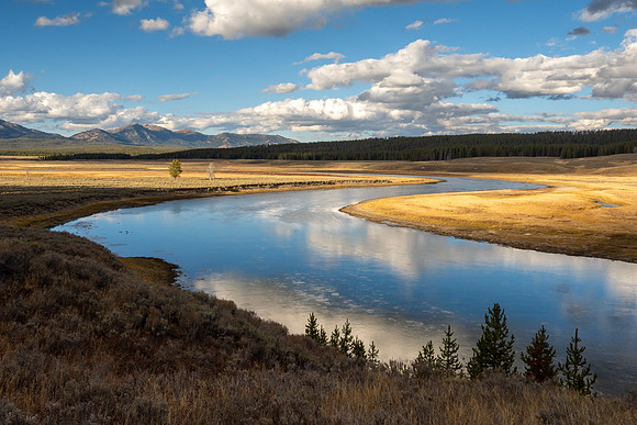Yellowstone National Park 2025