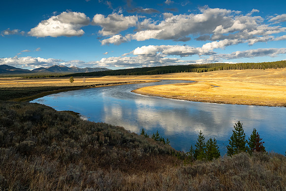 Yellowstone National Park 2025