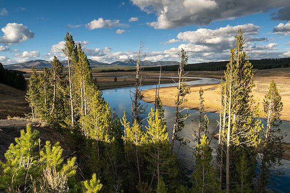 Yellowstone National Park 2025