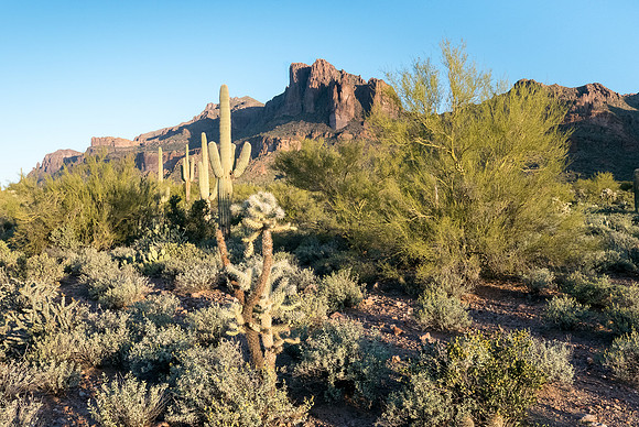 Arizona 2015 - Superstitions Ridge Hike (Mar)