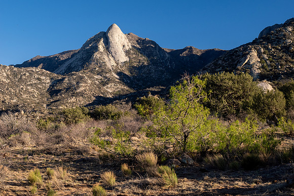 New Mexico 2025