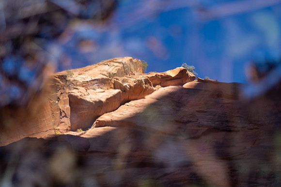 Zion National Park 2024